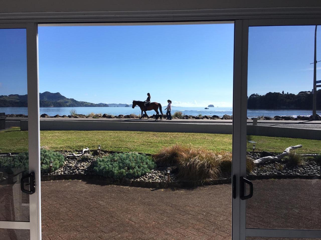 Waterfront Apartments Whitianga Exterior photo